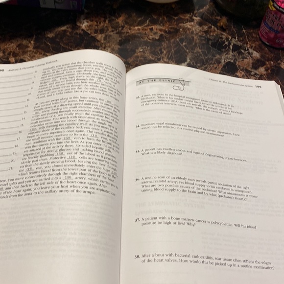 Anatomy & Physiology Coloring Workbook: A Complete Study Guide (7th Edition) - Picture 12 of 13